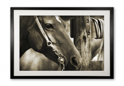 070_b__pretty_lady__sepia_img_5132_framed