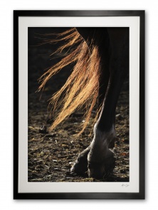 074__highlights_075x4182_framed