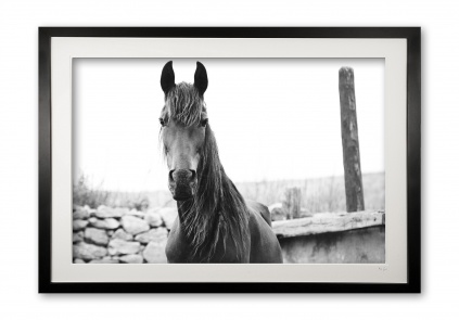 078__tousled_e56g0253_bw_frame