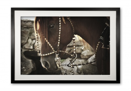 083__supermario_e56g9717_framed