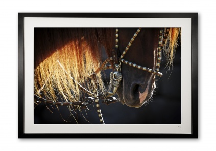 086_a__supermario_iii_e56g9575__1_framed