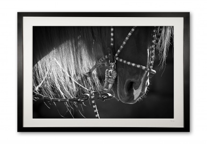 086_b__supermario_iii_e56g9575_bw_1_framed
