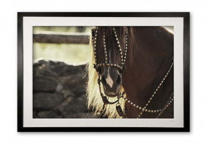089__supermario_ii_e56g9612_fade_framed