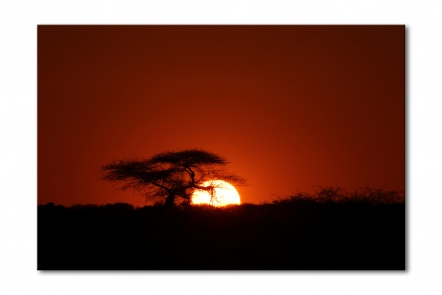 08__botswana_sunset_e56g1869