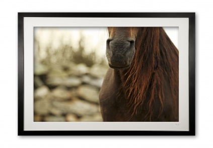 094__tousled_ii_e56g0245__framed