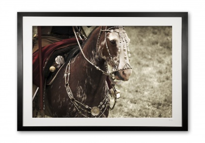 105__silver_tack_e56g6804_framed