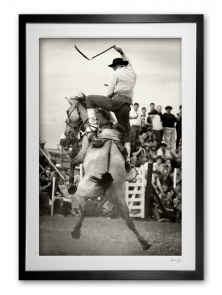 113_d__high_flyer_e56g7859_limited_edition_of_50__5_aps_framed_307182285