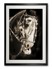 117_a__festival_finery_i_e56g0001_sepia_framed_301609873