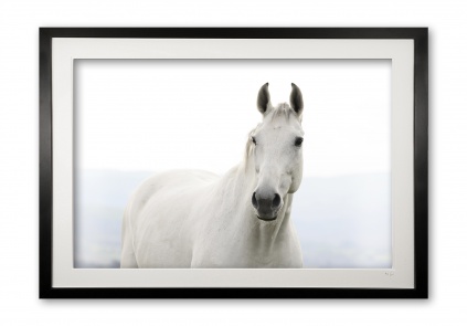145_c__caspar_iii_0e5a9905_framed