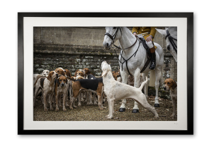 151_a__horse__hound_i