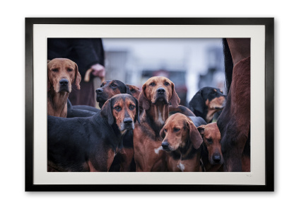 151_p__the_pack_ii_framed