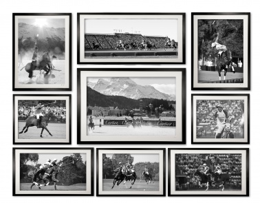 collection_ii_of_9_assorted_cubix_-_polo_bw