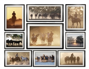 collection_ii_of_9_assorted_cubix_pampas_poloi