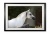 047_f__arabian_prince_iii_img_9938_framed