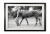 054__rainy_day_i_black__white_e56g0719bw_framed