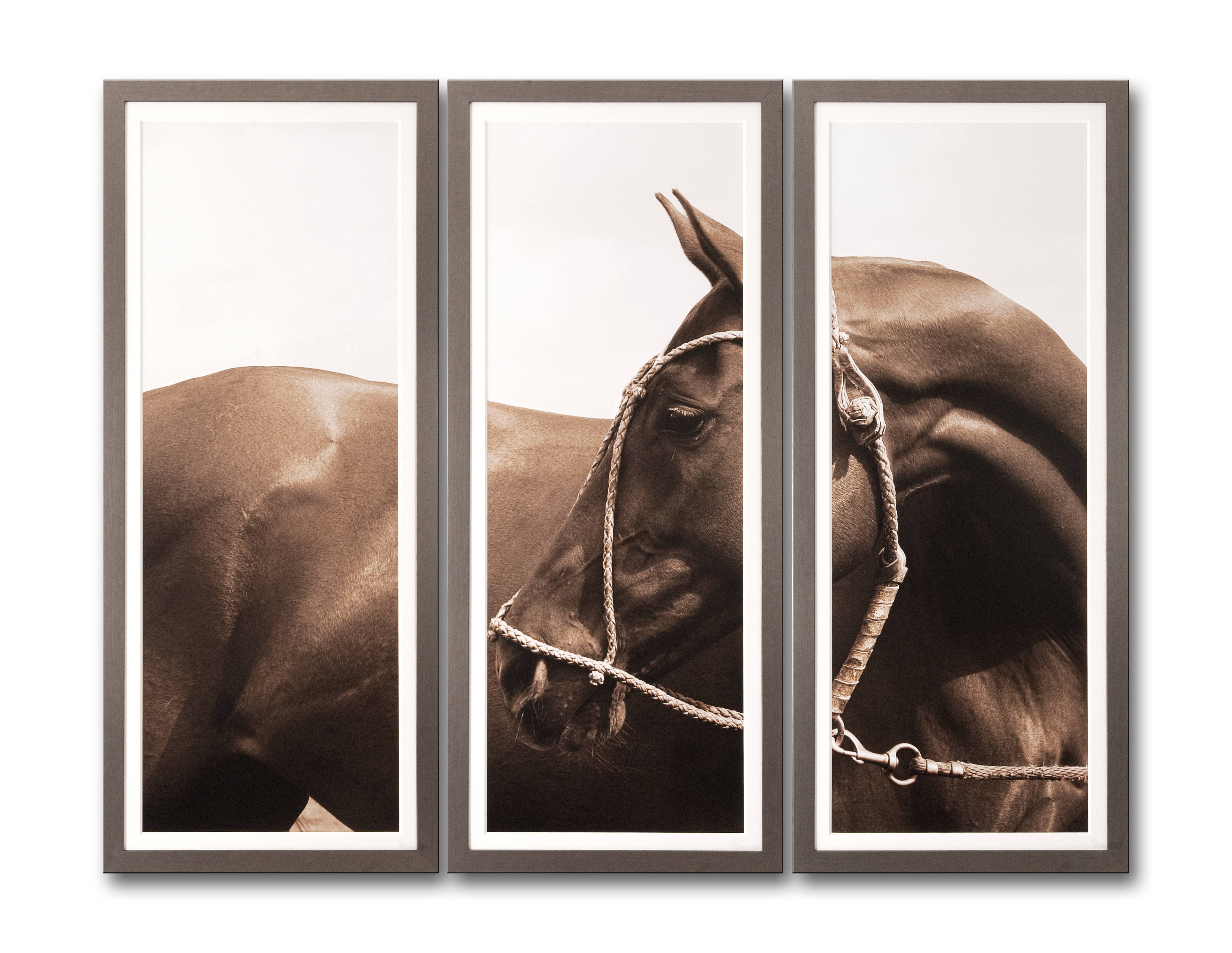 triptych_no_background_-_lighter