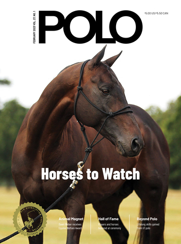 POLO COVER 1 February 2023