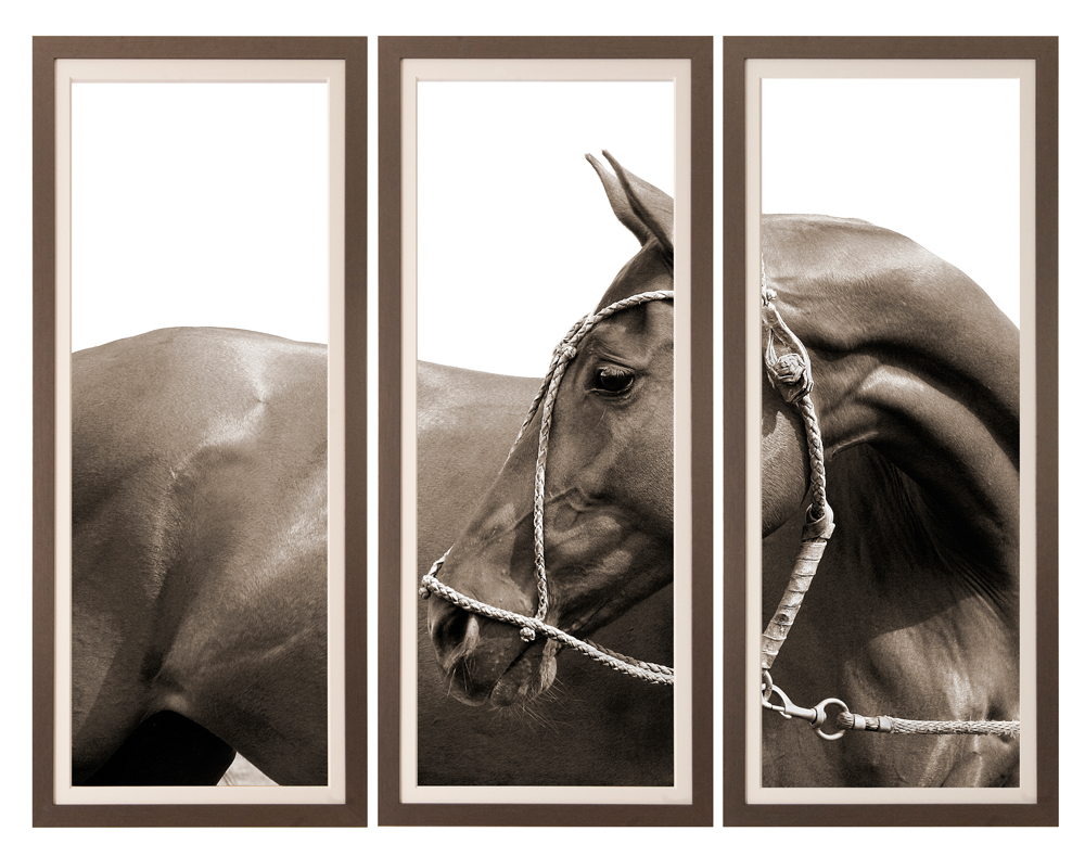 Triptych of Nicotina Open Edition