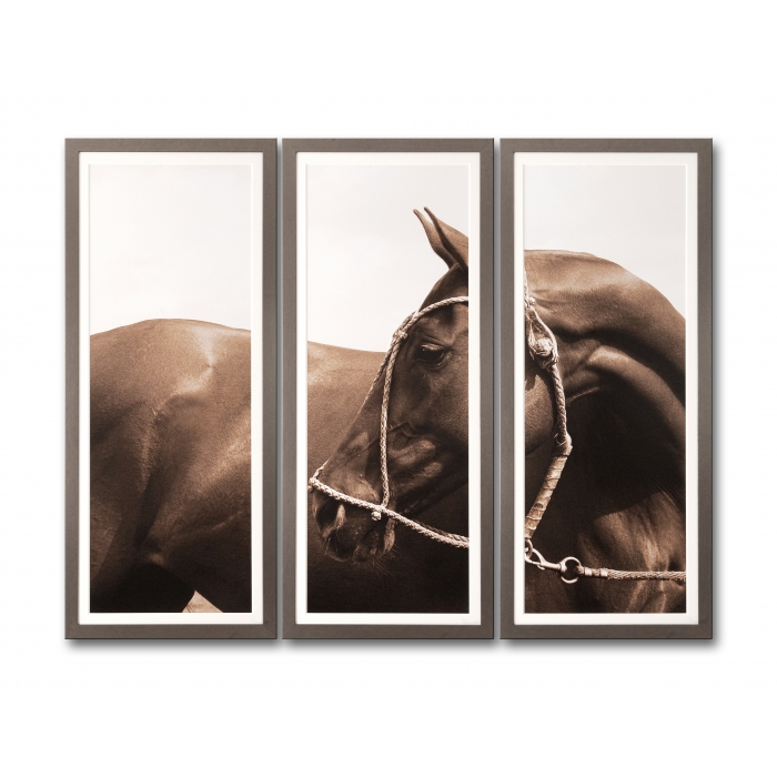 triptych_no_background_-_lighter