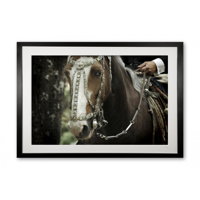 124__areco_festival_v_e56g9287_framed