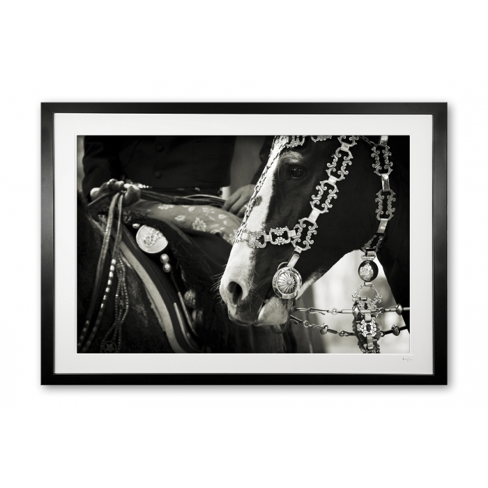 126_e__antique_bridle_v_e56g9400_sepia_framed