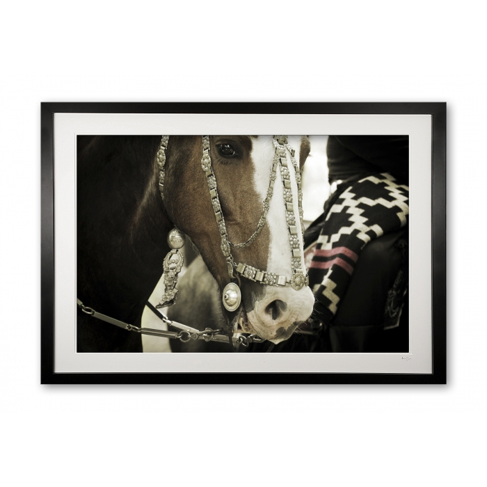 127_a__antique_bridle_vi_e56g9346_fade_framed