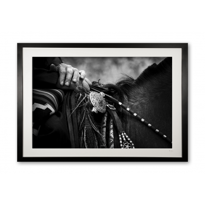 137_e_silver_recardo_detail_ii_framed_specail_edition_of_25