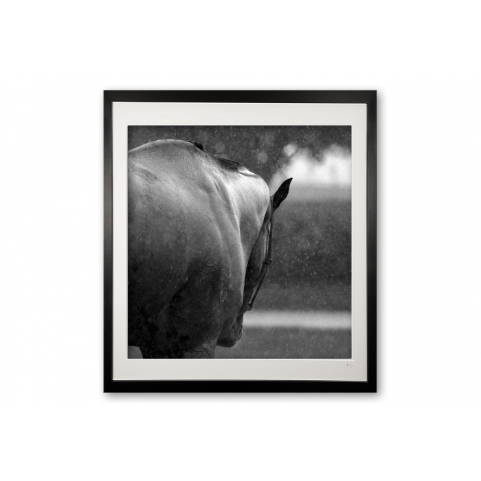 055_rainy_day_ii_black__white_e56g0726_framed