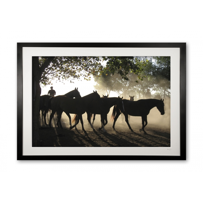 073__homeward_bound_img_1879_framed