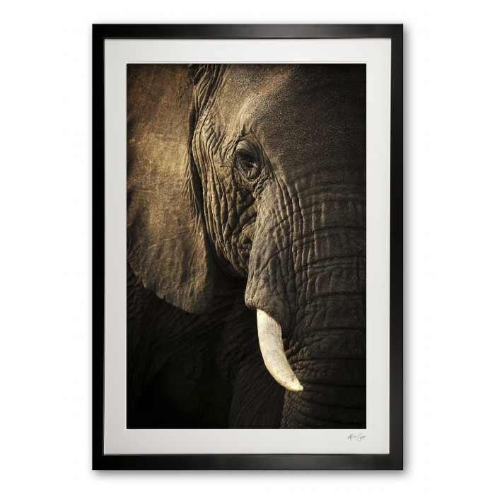 00022__gentle_giant_limited_edition_of_100_1-50_in_colour_51-100_in_bw_1389371704