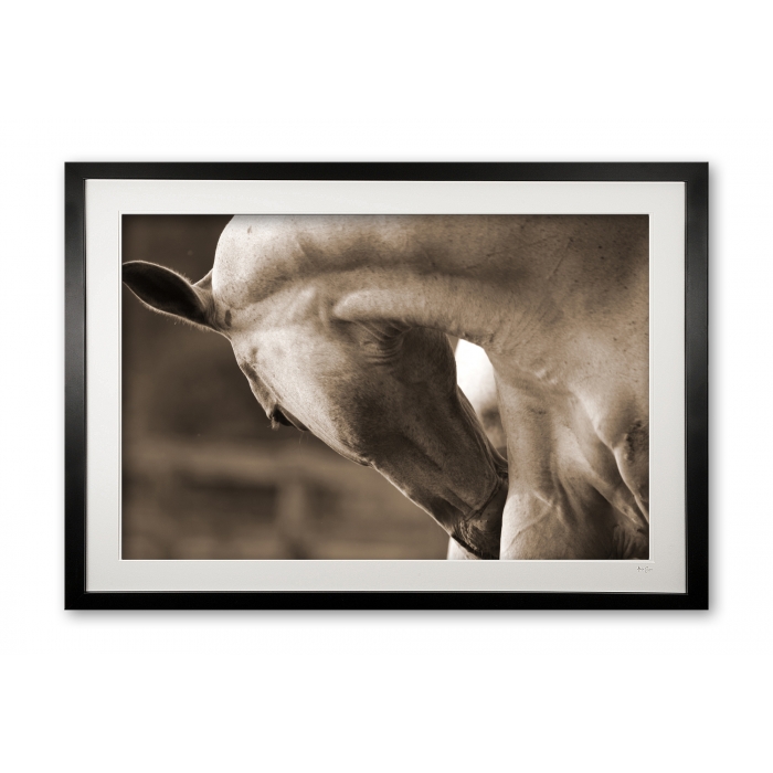 004__relax_075x1194_framed_1347045847