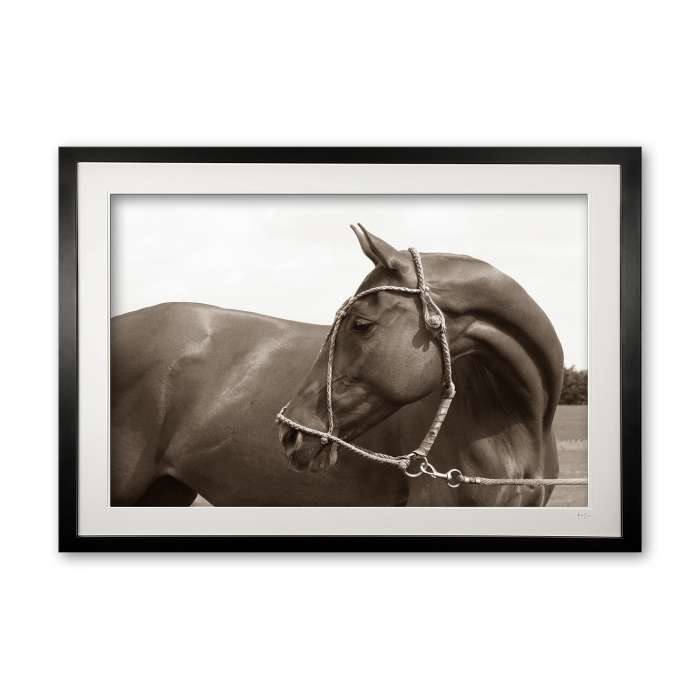 027__nicotina_sepia_img_1145_framed_1098251884