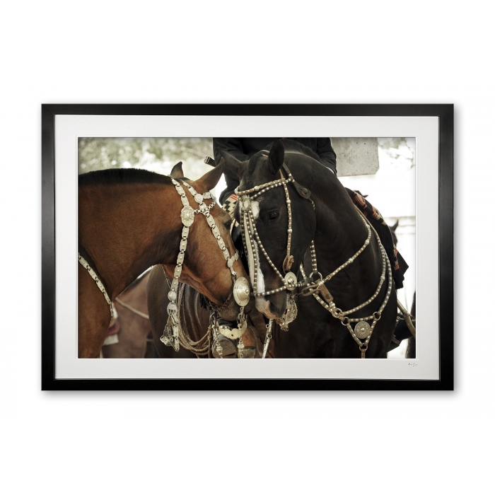 123__areco_festival_iv_e56g9253_framed_2135337892
