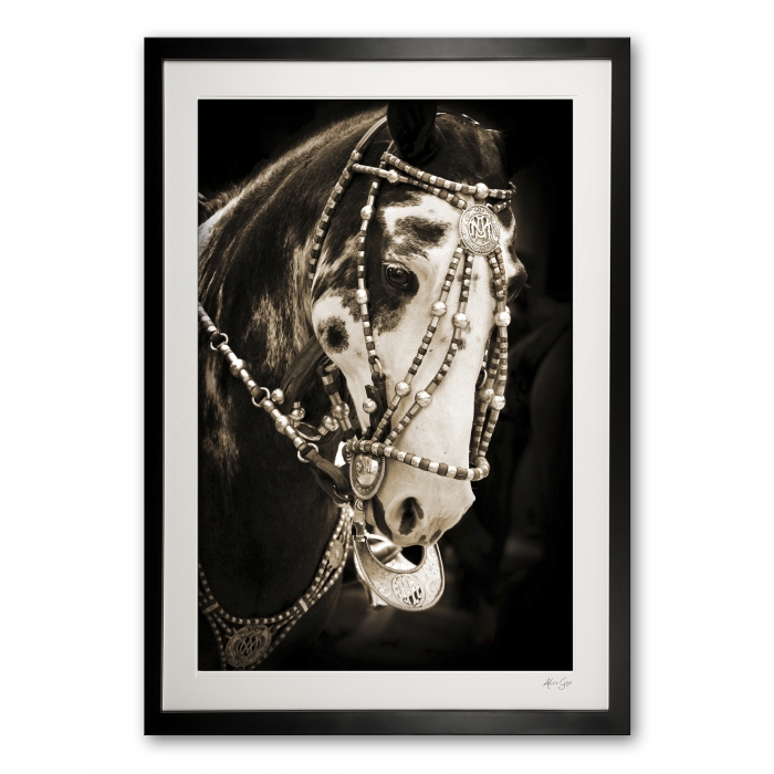 117_a__festival_finery_i_e56g0001_sepia_framed_301609873