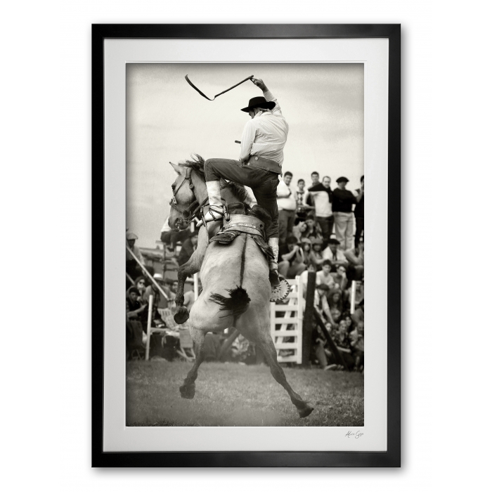 113_d__high_flyer_e56g7859_limited_edition_of_50__5_aps_framed_307182285