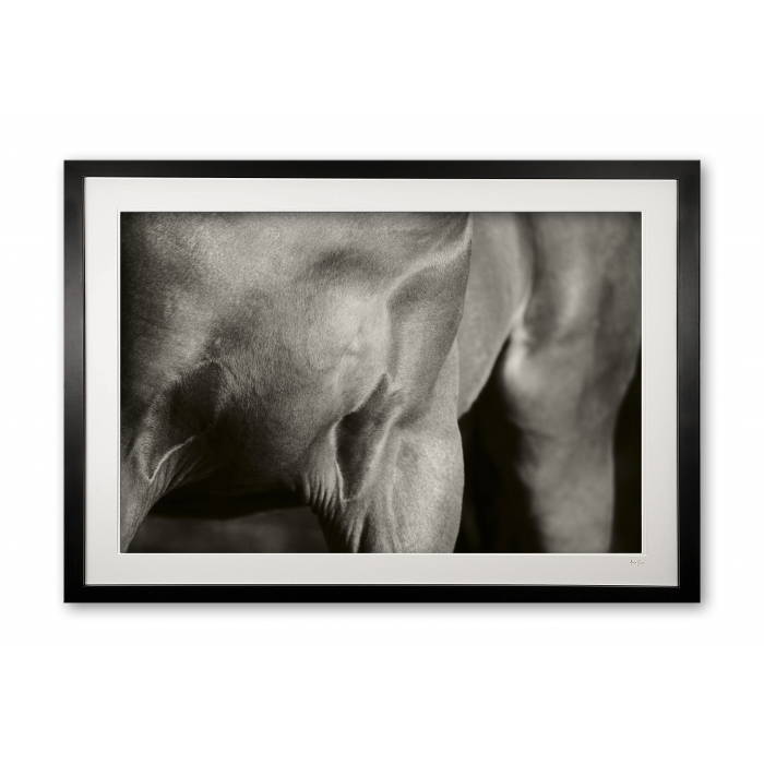 069_c__equine_sculpture_ii_sepia__special_edition_of_25_framed_1370298691
