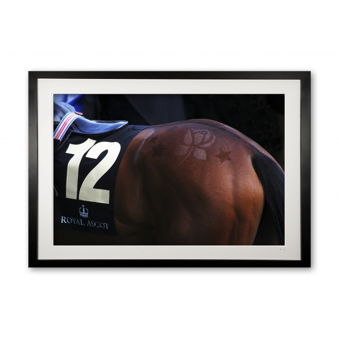 048_f__racing_detail_i_e56g6191_special_edition_of_25_1140005309