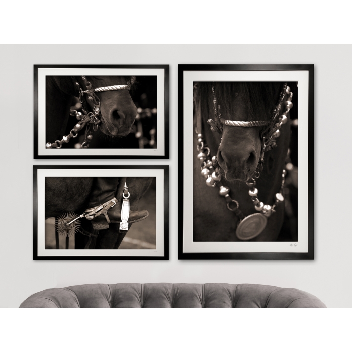 collection_of_3_silver_tack_-_cropped_2000px_x_15000px