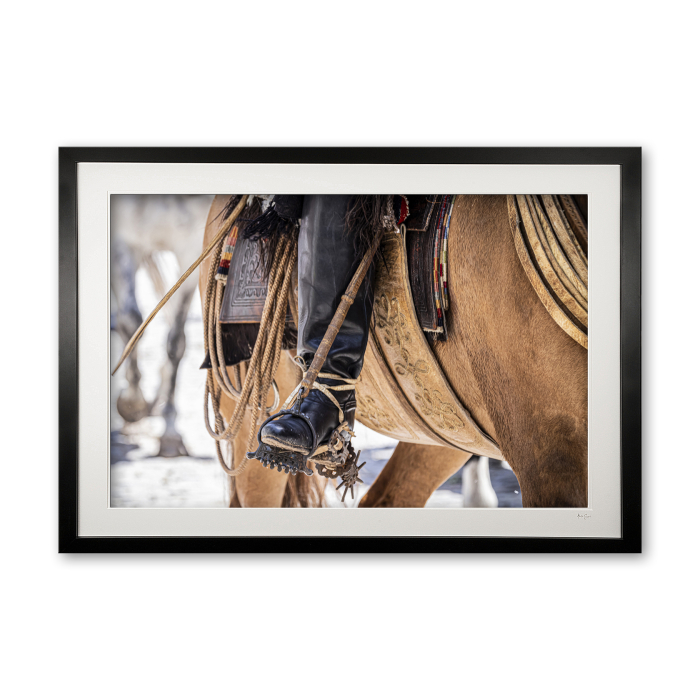 120_n__criollo_silver_stirrup_vi_framed_0e5a9716