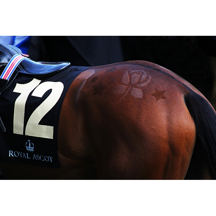 048_f__racing_detail_i_e56g6191_special_edition_of_25