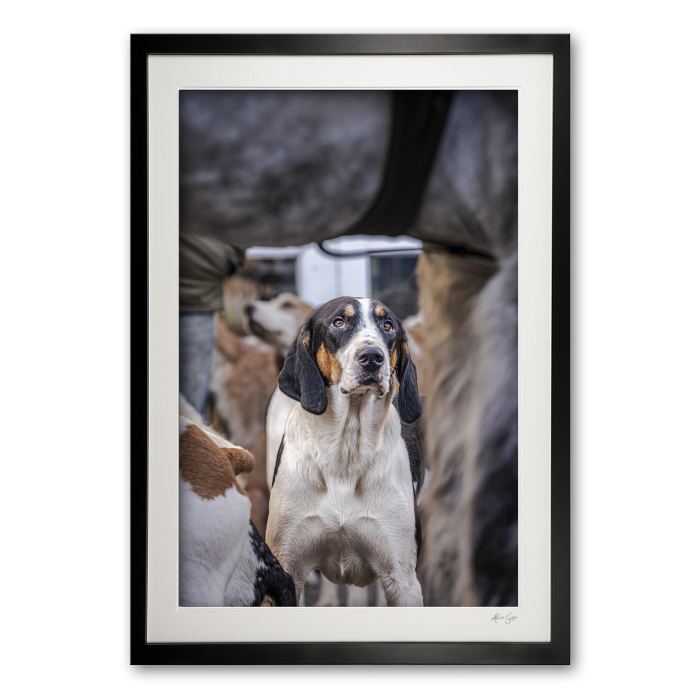 149_e__hooves__hounds_i