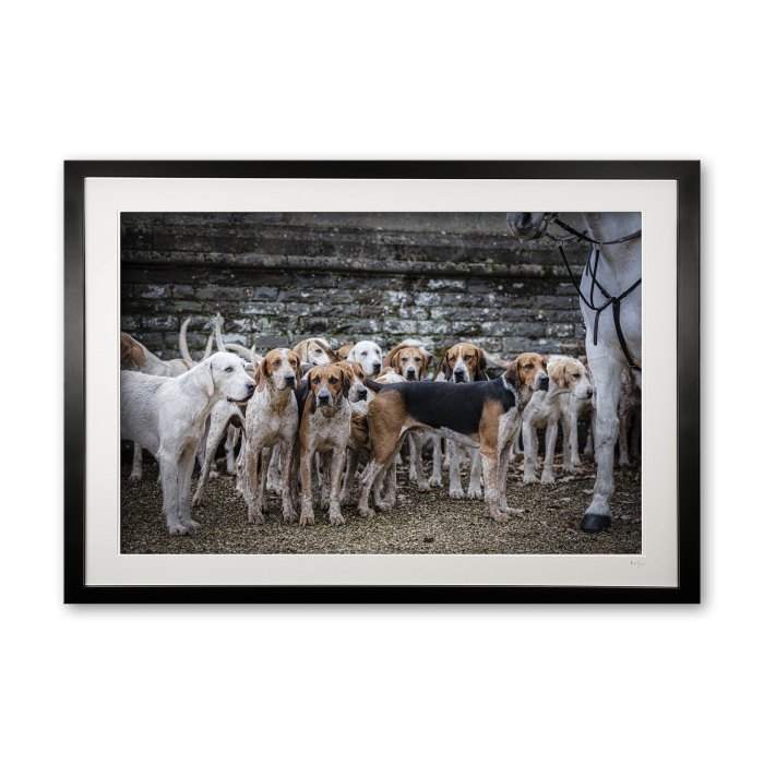 151_n__hooves_and_hounds_v
