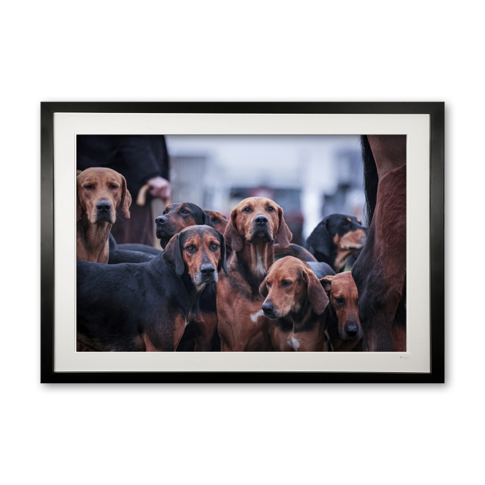 151_p__the_pack_ii_framed