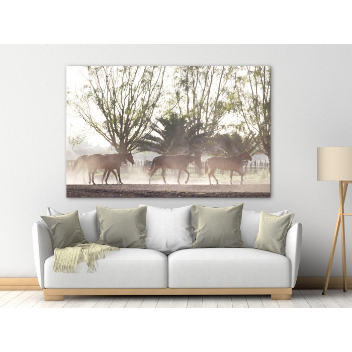 adobestock_127107753_morning_round-up_2000px_x_1500px