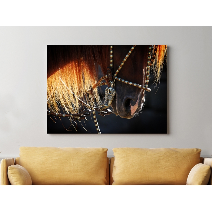 adobestock_358181114_supermario_iii_2