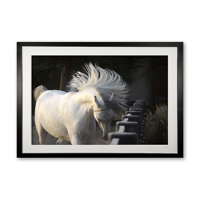 047_d_movement__motion_img_9884_framed