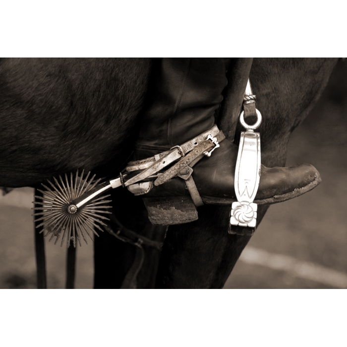 'Argentine Tack Detail - SPUR'