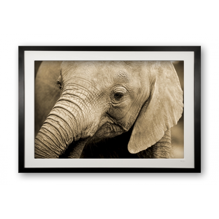 00020_mini_trumpeter_cubix_special_editionof_25_framed