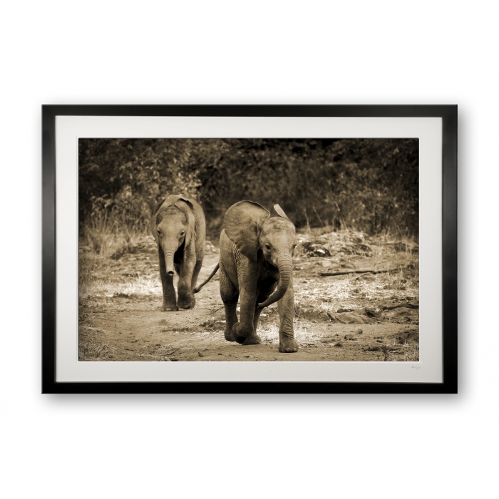 00019_sheldricks_children_ii_black_cubix_special_edition_of_25_framed