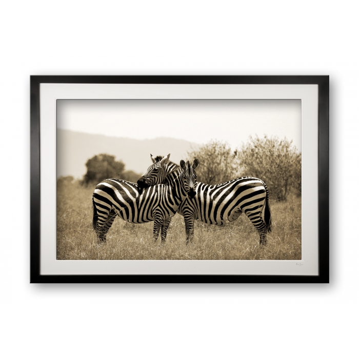 00034_friends_cubix_special_editionof_25_framed